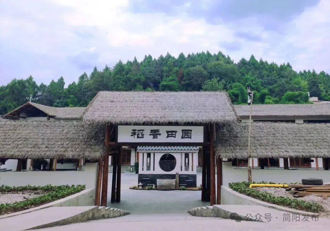 文章配图-3